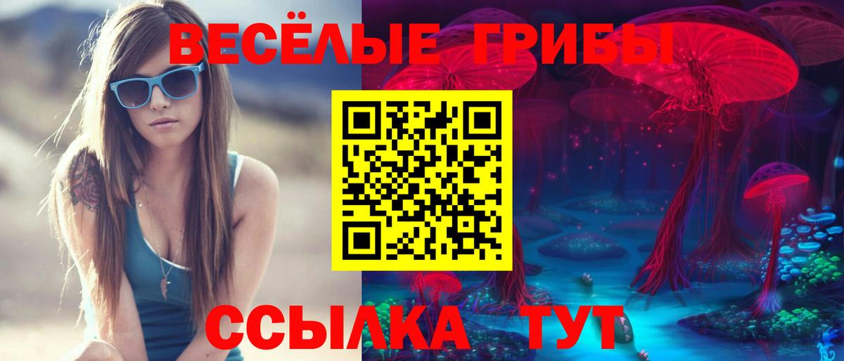 Кунгур  Псилоцибиновые грибы Psilocybine cubensis  Вход с VPN 