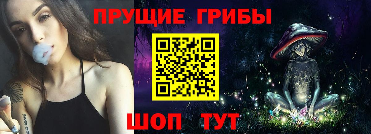 Галлюциногенные грибы Psilocybe Кунгур